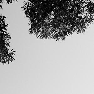 无删减版偷拍视频刘嘉玲
